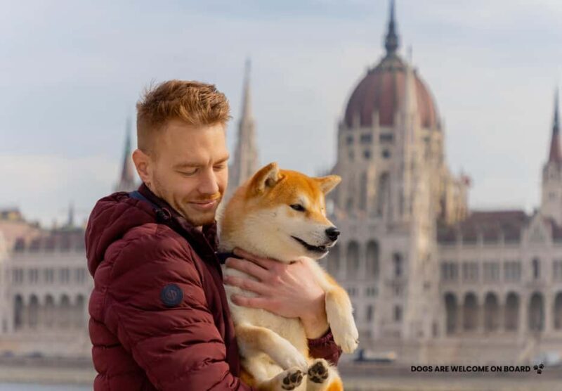 Budapest: Night Lights Cruise - The Experience: What to Expect on the Budapest Night Lights Cruise