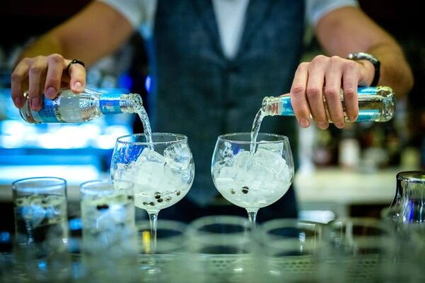 Budapest - Opera Gin Distillery Tour - Restrictions and Guidelines