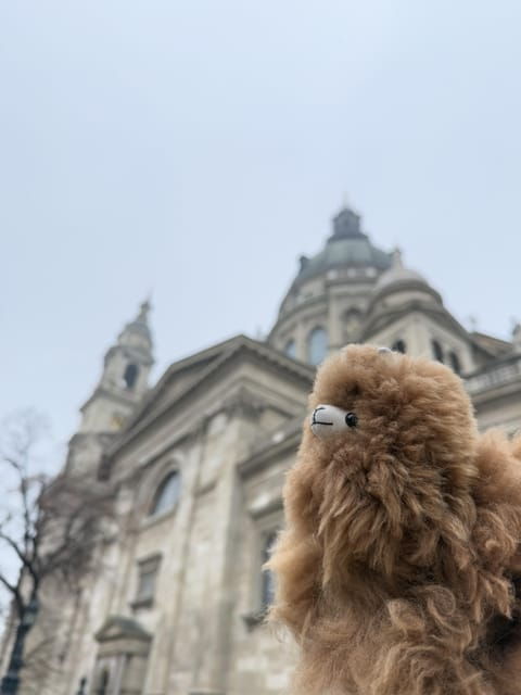 Budapest: Private 4-Hour City Tour by Car - Good To Know