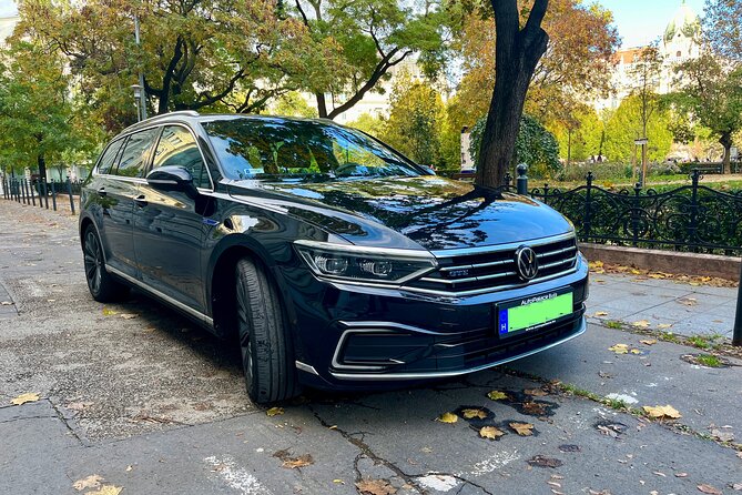 Budapest Private Airport Transfer - Boarding and Vehicle