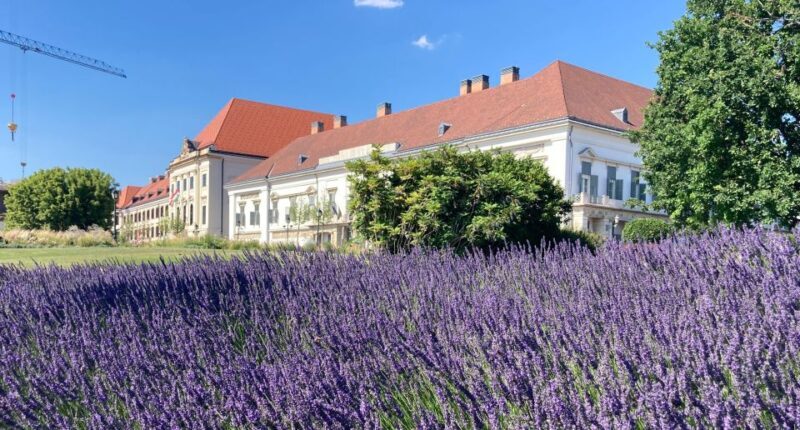 Budapest: private sightseeing tour by public transportation - Practical Details and Tips