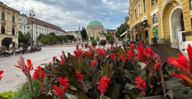 Budapest: Private Walking Tour With a Local Guide - Cultural Experience