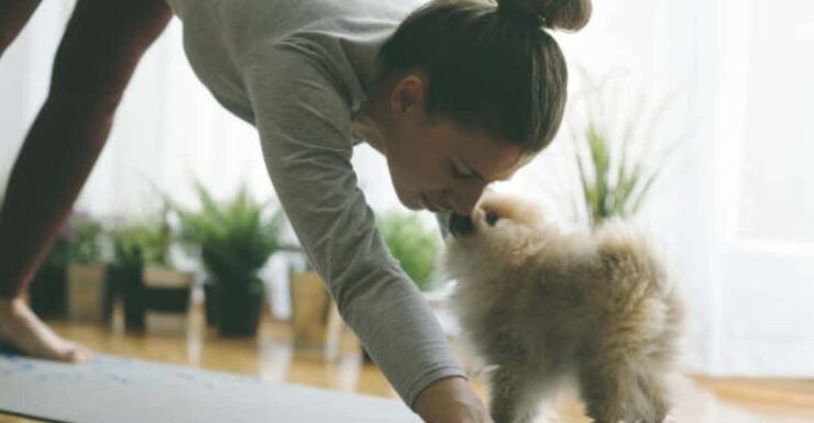 Budapest: Puppy Yoga Class - What to Expect