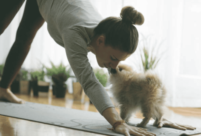 Budapest: Puppy Yoga Class - Location Details