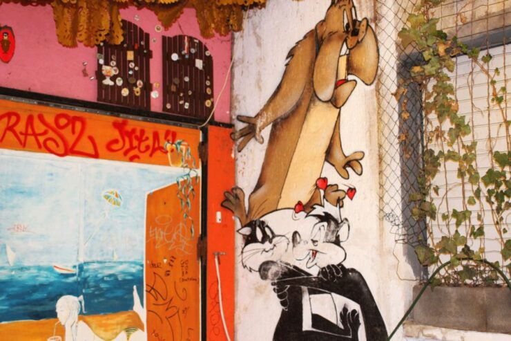 Budapest: Ruin Bar Tour - Tour Details
