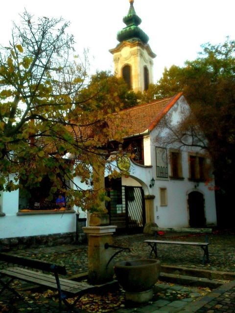 Budapest: The Fabulous Danube Bend Full-Day Tour - Experience