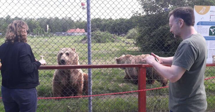 Budapest: Transport & Guided Tour of Bear and Wolf Sanctuary - Booking Details