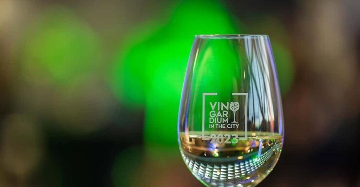 Budapest: Vingardium in the City Winetasting Event - Key Points