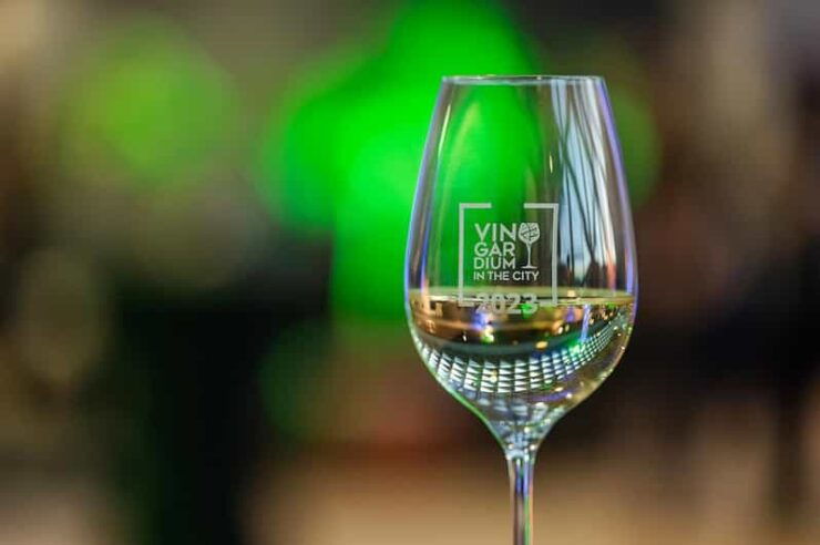 Budapest: Vingardium in the City Winetasting Event - Experience Highlights
