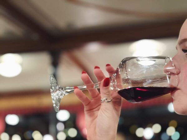Budapest: Wine & Dine Cruise on the Danube - Customer Reviews