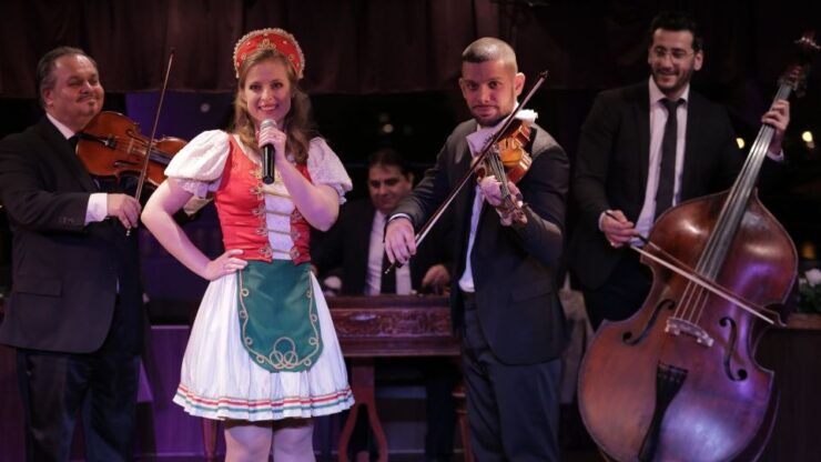 Budapest: Wine & Dine Cruise With Live Folklore Music - Activity Details