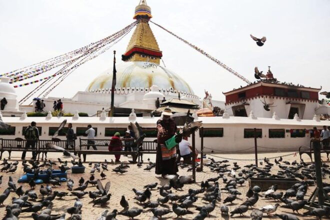 Buddhist Temples: Sowyambhu and Boudha 4 Hours Trip - Tips for Travelers