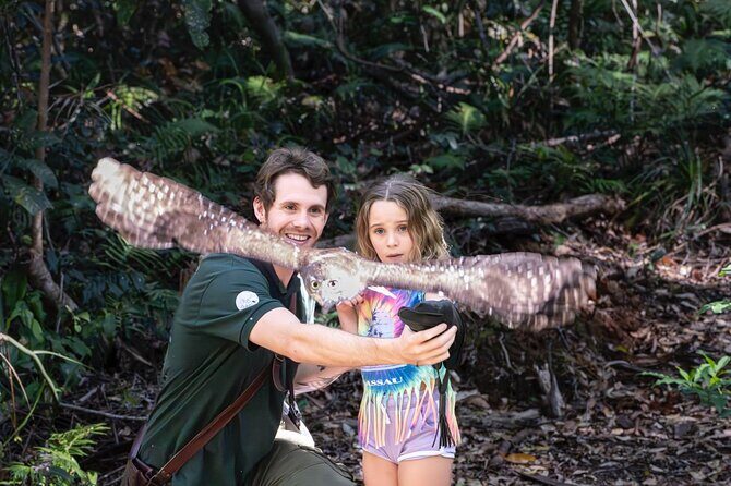 Buderim Forest Flight Owl Encounter and Tour - An In-Depth Look at the Tour Experience