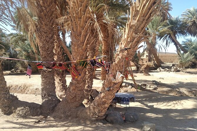 Budget Erg Chegaga Safari - Additional Services