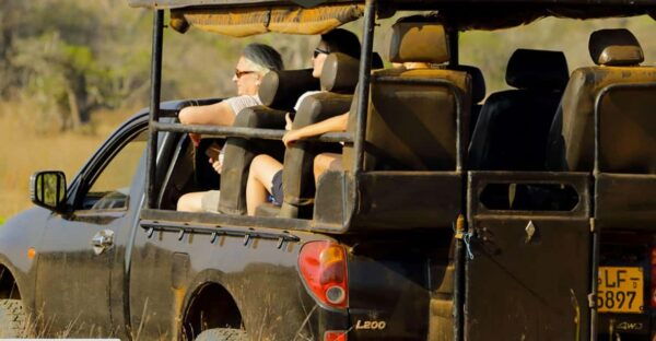 Budget Safari to Wilpaththu National Park From Anuradhapura - Tips for a Budget Safari