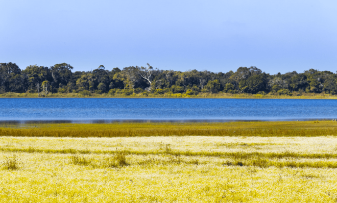 Budget Safari to Wilpaththu National Park From Colombo - Inclusions of the Safari