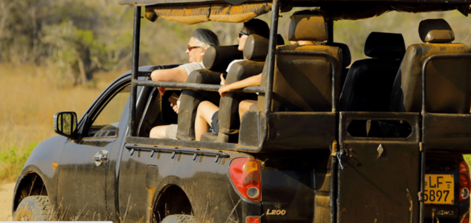 Budget Safari to Wilpaththu National Park From Kandy - Unique Safari Experience