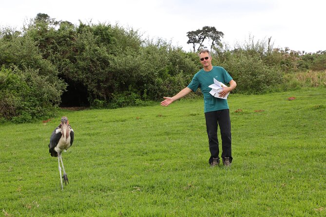 Budget Safari With a Lodge for 3 Days - Reviews and Recommendations