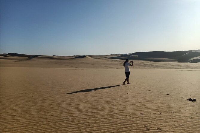 Budget Travel Package to Siwa Oasis From Cairo or Giza - Itinerary Highlights
