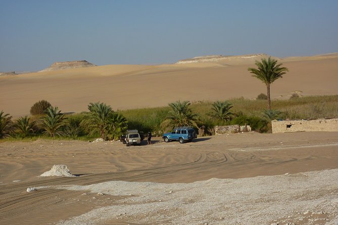Budget Travel Package to Siwa Oasis From Cairo or Giza - Transport Options