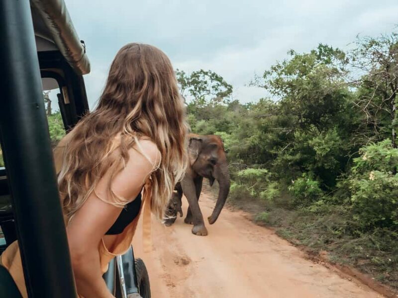 Budget Yala Safari: 1-Night Hostel Stay & Meals Included - Good To Know