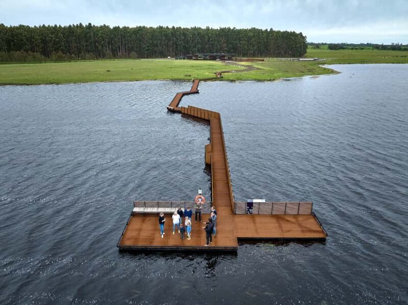 Budj Bim: Tae Rak Wetlands 2 Hour Guided Cultural Tour - Good To Know