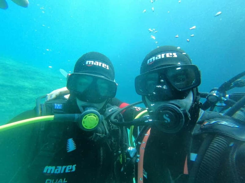 Budva Diving - Scuba Diving Experience - Dive Sites and Marine Environment