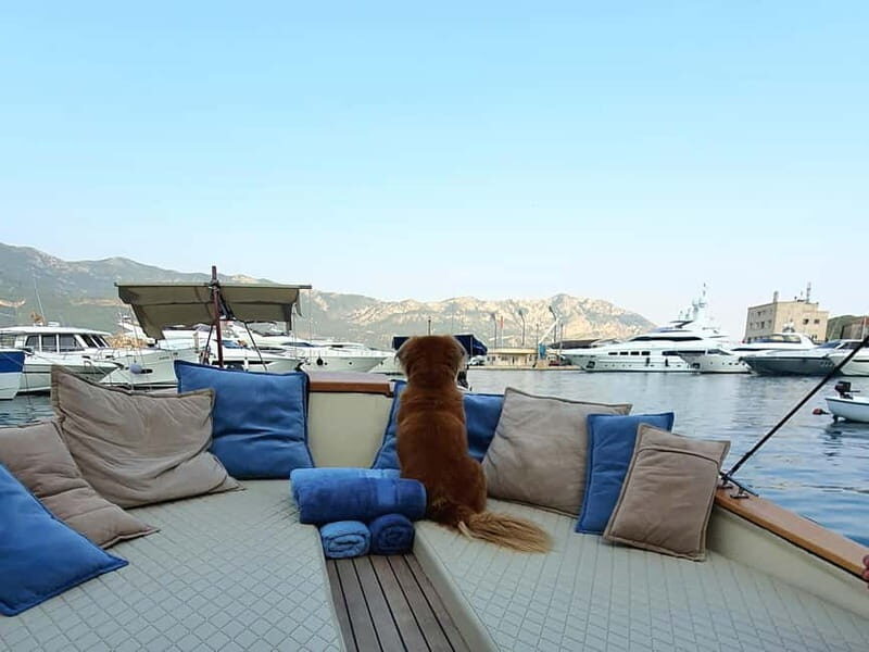 Budva: Private Sightseeing Boat Tour with Swimming & Drinks - Final Thoughts