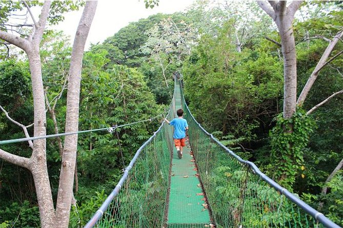 Buena Vista Private Tour With Zipline and Horseback Riding - Location Details