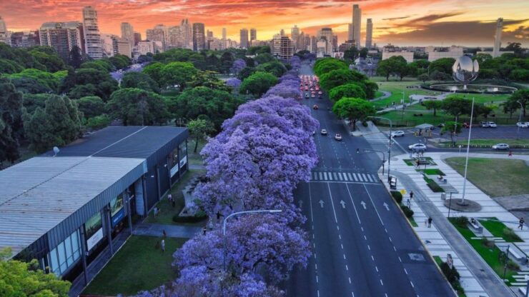 Buenos Aires: Exploring Classics and Hidden Gems as a Local - Local Perspective on Buenos Aires