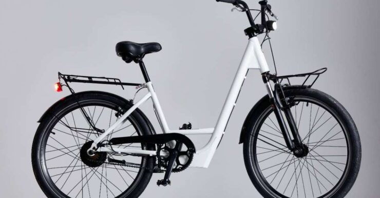 Buenos Aires in One Day on E-Bikes With Lunch - Experience Highlights