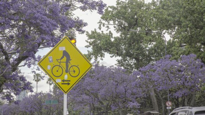 Buenos Aires in One Day on E-Bikes With Lunch - Booking Information