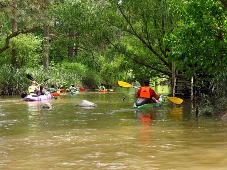 Buenos Aires: Kayak Delta With Transfer - Booking Details