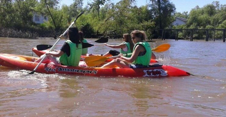 Buenos Aires: Kayak Delta With Transfer - Experience Highlights