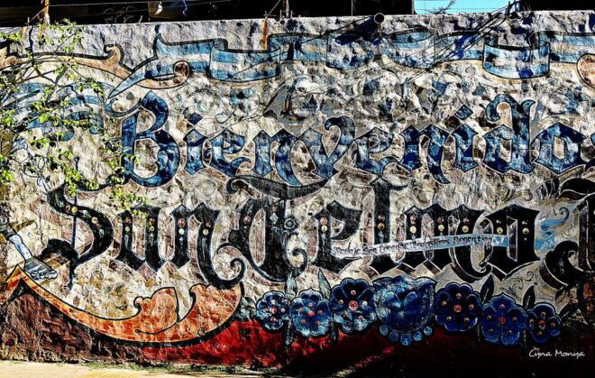 Buenos Aires: San Telmo and Market Guided Walking Tour - Experience Highlights in San Telmo