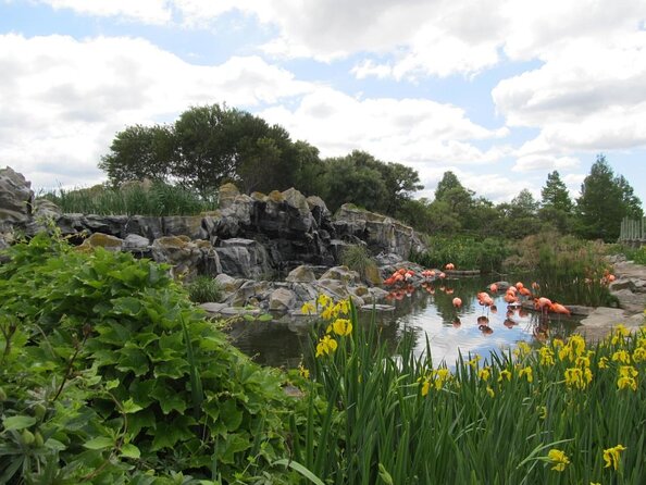 Buenos Aires: Temaiken Biopark Including Transfers - Inclusions and Services