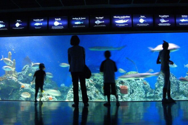 Buenos Aires: Temaiken Biopark Official Tickets - Full Experience Description