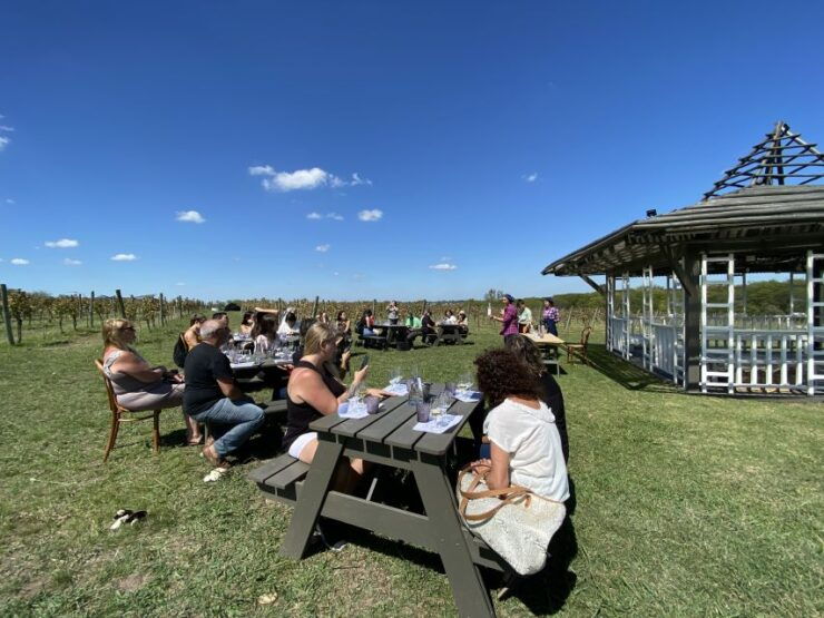 Buenos Aires: Wine Tasting and Lunch at Bodega Gamboa - Good To Know