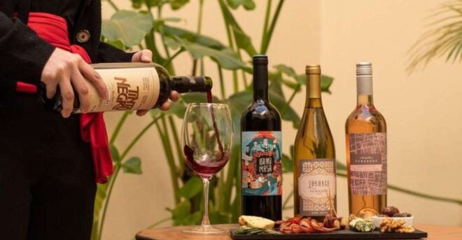 Buenos Aires: Wine Tasting Boutique - Sommelier Guidance