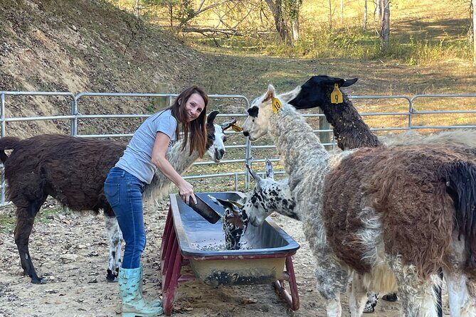 Buffalo Creek Ranch Tour Experience - FAQ