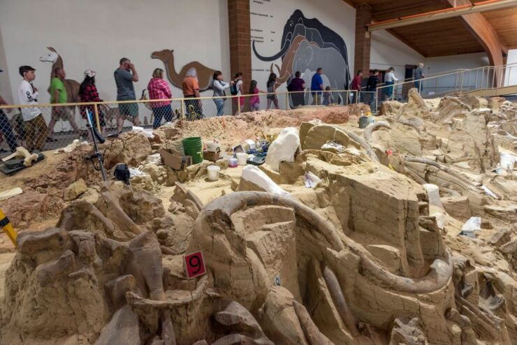 Buffalo Jeep Safari & Mammoth Site Tour - Experience