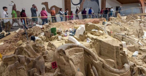 Buffalo Jeep Safari & Mammoth Site Tour - The Sum Up