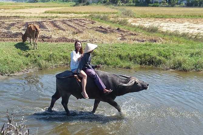 Buffalo Riding and Basket Boat Half Day Tour - Transportation Options