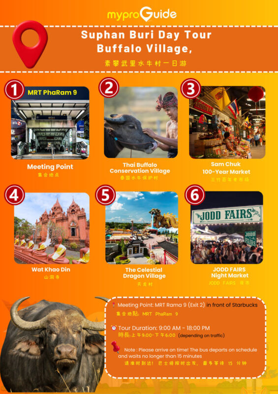 Buffalo Village, Celestial Town, Fortune Cat Temple & Market (myProG - At the buffalo village, expect a real farm setting