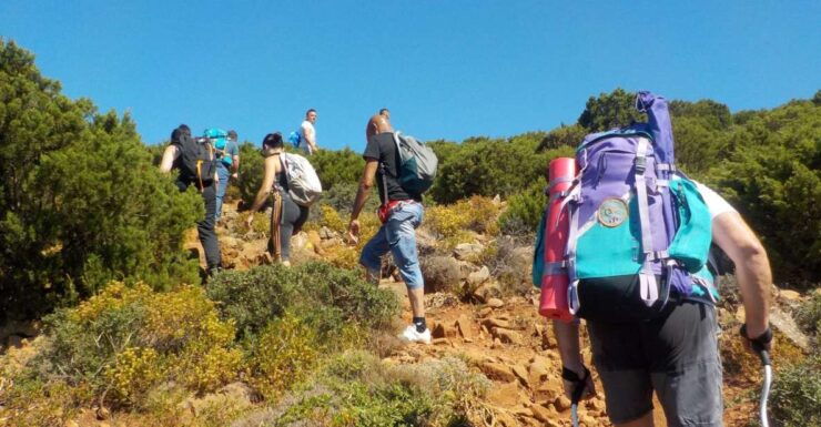 Buggerru: Guided Trekking Tour From Masua to Cala Domestica - Tour Details