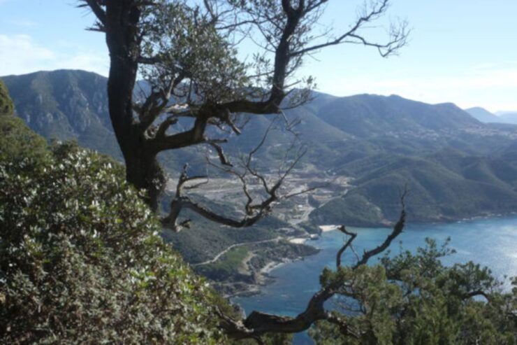 Buggerru: Guided Trekking Tour From Masua to Cala Domestica - Highlights