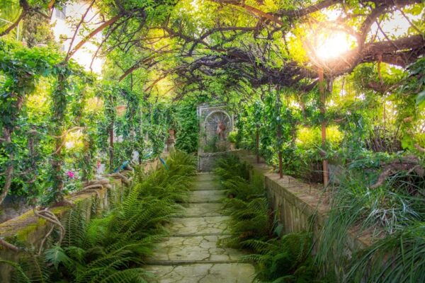 Buggiano Castello: Romantic Tuscany Villa Candlelight Dinner - Accessibility Considerations