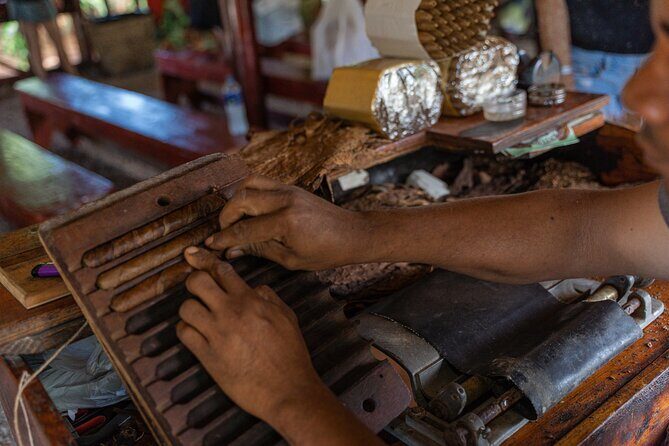 Buggies Off Road Extreme From Punta Cana - Final Thoughts