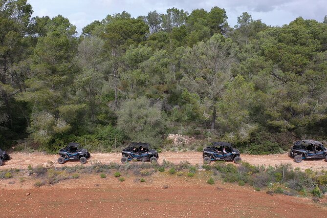 Buggy 2-seater and 4-seater Off-On Road Tour in Mallorca - Traveler Photos and Reviews