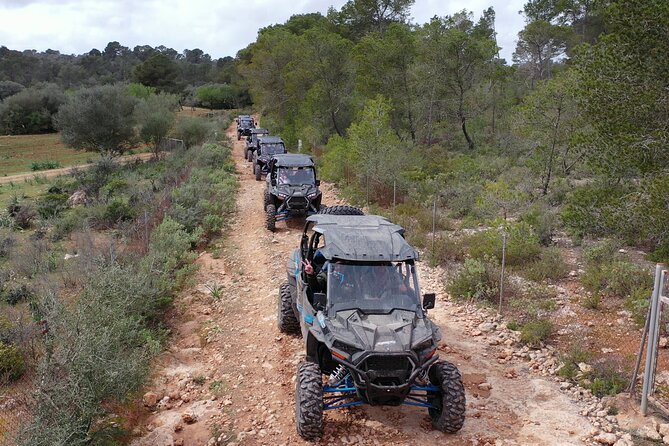 Buggy 2-seater and 4-seater Off-On Road Tour in Mallorca - Customer Testimonials